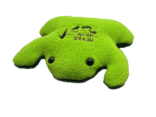 Green plush toy shaped like a frog held in a hand against a white background