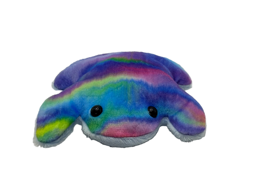 Rainbow Tie-Dye Frog